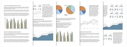 Buyer advocate Eastern Property Local property council report 1